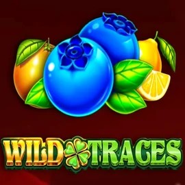Wild Traces online game logo by Amusnet Interactive on lirasspin.pl